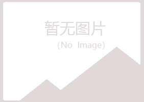 宜川县山柳能源有限公司